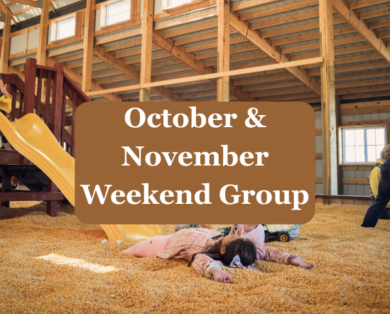Pumpkin FunFarm October/November- Weekend/Holiday GROUP Admission 2026
