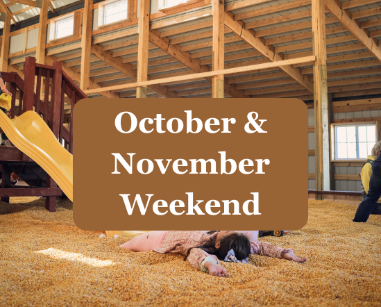 Pumpkin FunFarm October/November - Weekend/Holiday Admission 2026