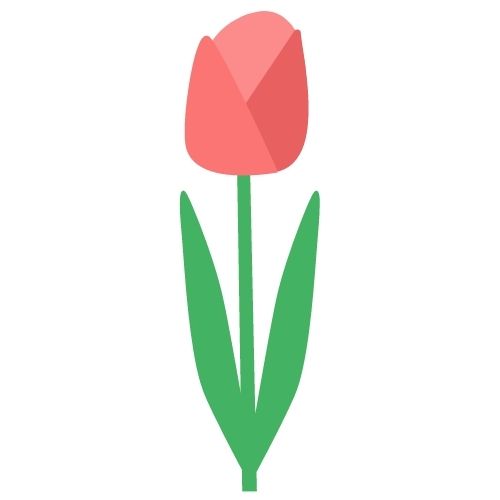10 U-Cut Tulip Carrier Add-On 2025